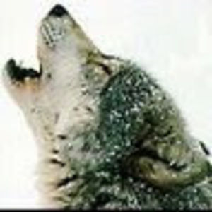 Meet your Posher, Christian